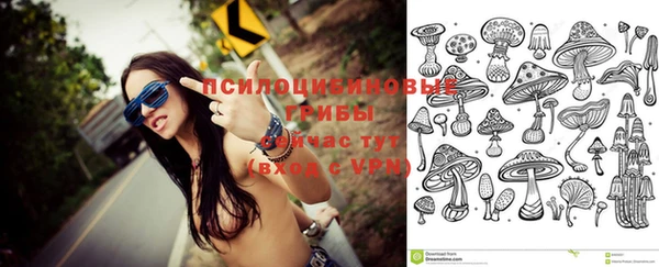 прущая мука Кулебаки