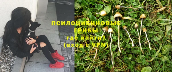 прущая мука Кулебаки