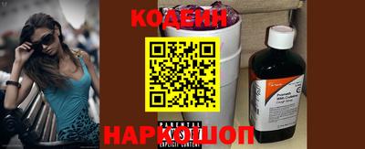 a pvp Камышлов