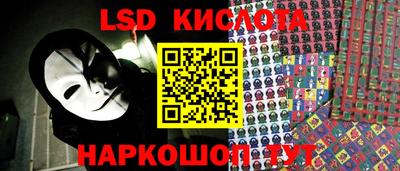 a pvp Камышлов