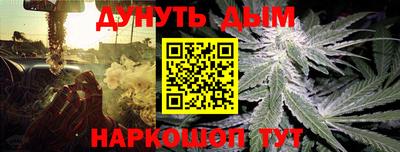 a pvp Камышлов