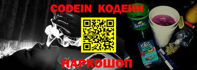 a pvp Камышлов