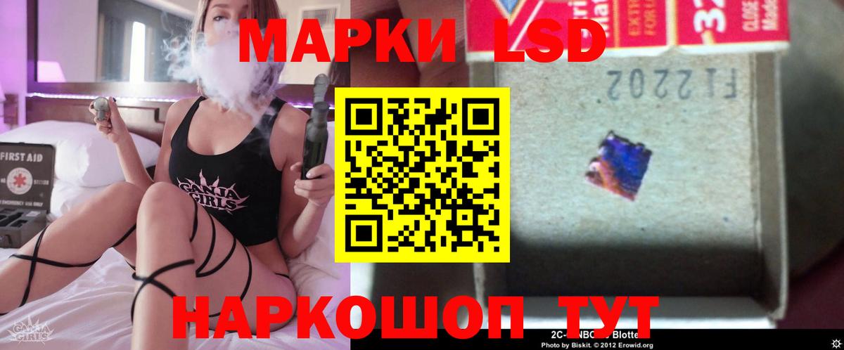 Курчатов  Лсд 25 экстази  кракен зеркало  Лсд 25 экстази кислота  Вход с VPN 