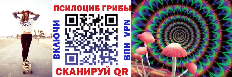 Псилоцибиновые грибы прущие грибы  Курчатов 
