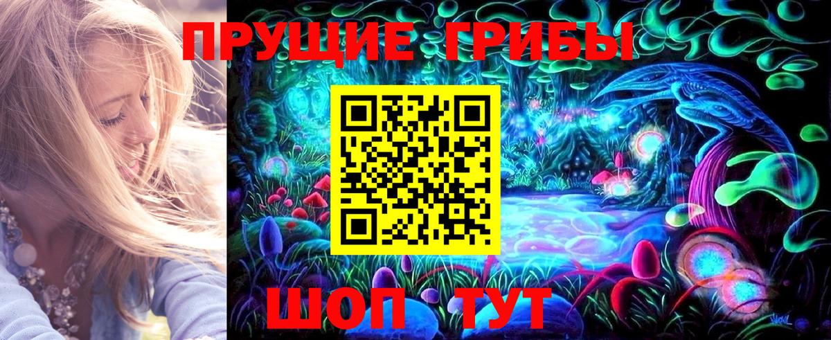 Псилоцибиновые грибы Psilocybe Курчатов