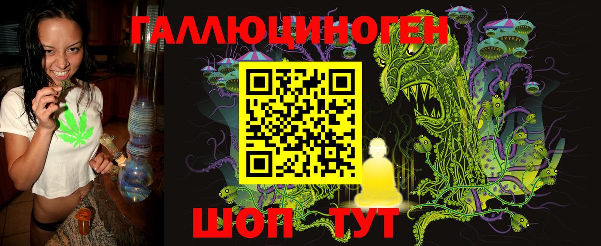Курчатов  Псилоцибиновые грибы Psilocybine cubensis  купить  цена  Вход с VPN 